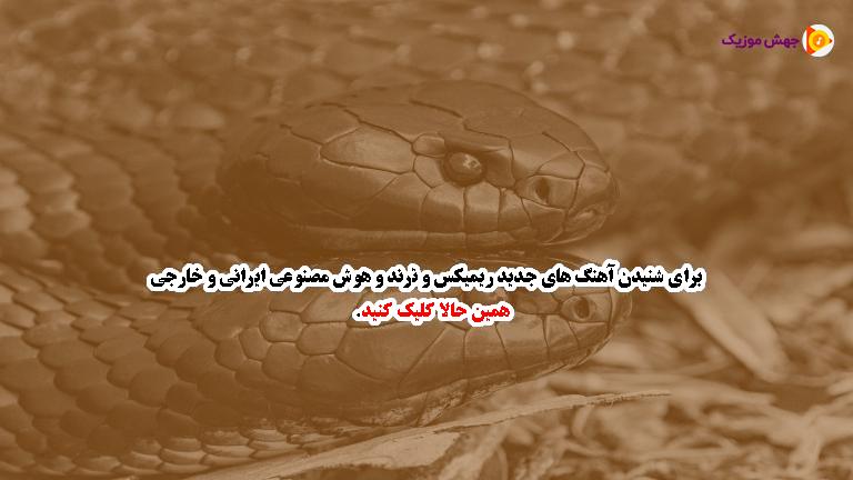 دانلود آهنگ دل تاجر نیه بکا شار و شار (کردی شاد) از فرشاد امینی